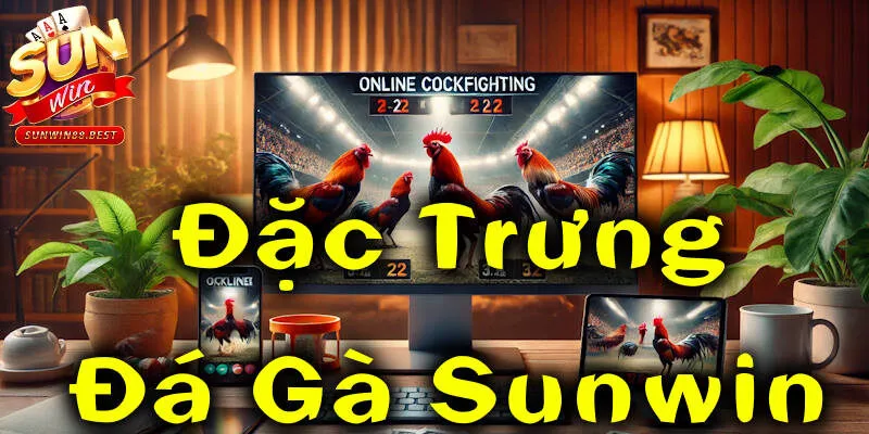 đá gà sunwin đặc trưng