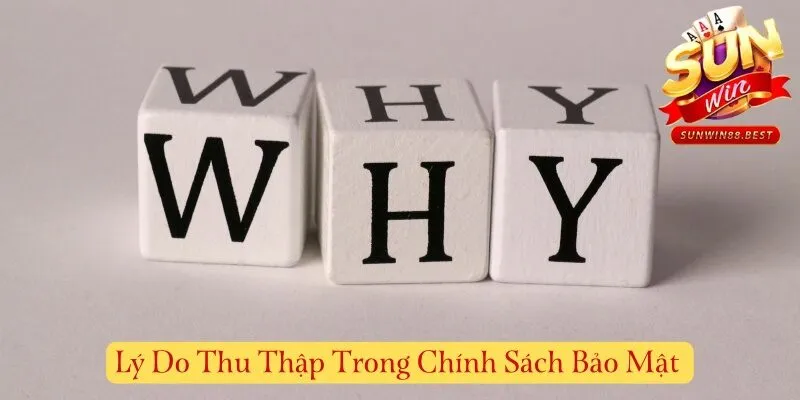lý do thống kê dữ liệu trong chính sách bảo mật
