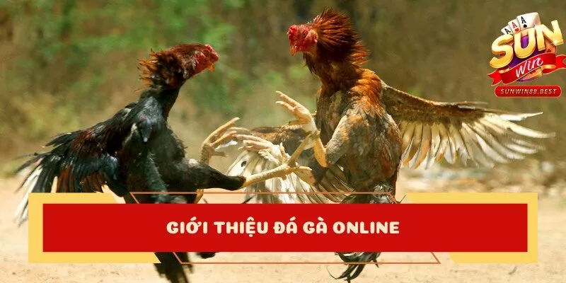 đá gà online giới thiệu